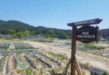 대전시농업기술센터, 행복농장 텃밭 분양