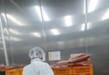 대전시, 학교급식 식재료 안전성을 더하다