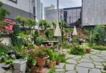 도심 속 숨은 명소, 대전시 민간정원 3·4·5호 지정