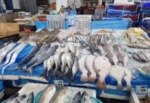 대전시, 일본산 수입 수산물 원산지 철저히 살핀다