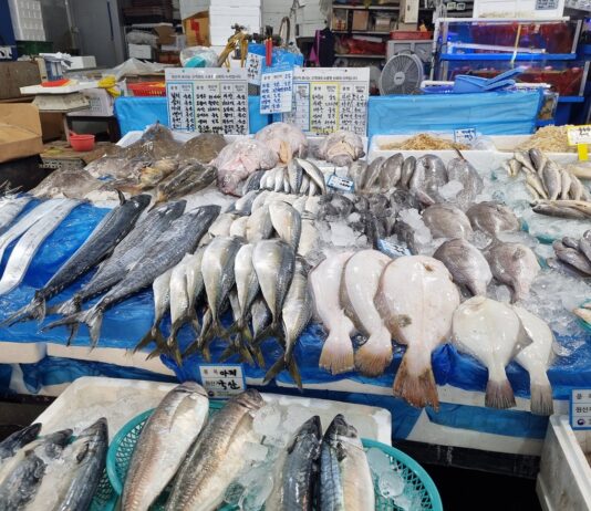 대전시, 일본산 수입 수산물 원산지 철저히 살핀다