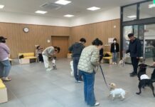 대전반려동물공원 상반기 교육프로그램 운영