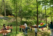 대전목재문화체험장 나무상상놀이터에서 놀자!