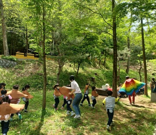 대전목재문화체험장 나무상상놀이터에서 놀자!