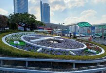 대전시, 봄맞이 가로녹지대 정비 및 봄꽃 새단장