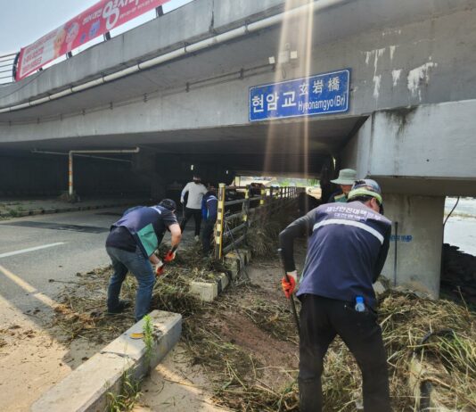 대전시 환경국 전 직원, 3대 하천 피해 복구에 구슬땀