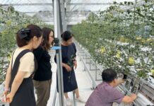 대전농기센터 스마트농업 실증·교육사업, 농민들에 인기