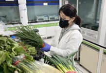 대전보건환경연구원, 김장철 농산물 안전성 검사