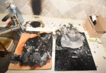 반려동물과 안전한 생활, 화재 예방은 필수