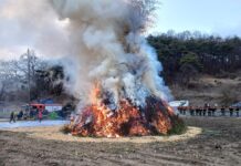 대전소방 화재 없는 안전한 정월대보름