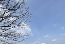 대청호 오백리 생태길에서 만나는 대전의 매력