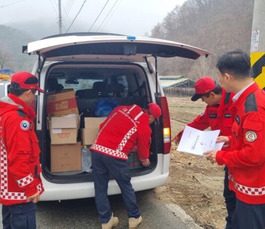 대전시, 산불 예방 위해 행정력 총동원… 주말·평일 없이 대응 강화