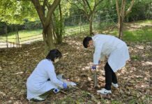 대전보건연, 토양오염 우려지역 85곳 실태조사 착수