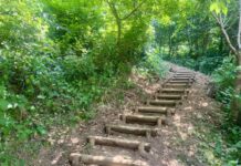 대전시“우리 이웃 문화유산, 더 가깝고 더 쾌적하게”