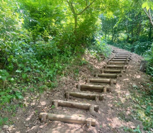 대전시“우리 이웃 문화유산, 더 가깝고 더 쾌적하게”