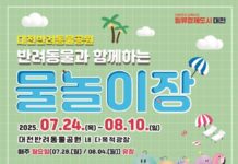 대전시, 반려동물과 함께하는 물놀이장 개장