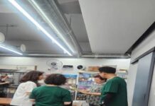 대전시“0시 축제, 식중독 없는 건강한 축제로”