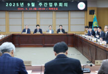 “기억과 공간이 공존하는 도시, 철거보다 상생”대전시, 한밭야구장‘복합 문화공간’으로 전환 검토