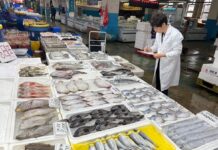 대전 식품 방사능‘모두 안전해요’