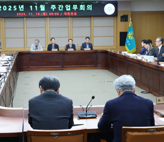 “여의도 불꽃축제, 대전 하늘에 수놓는다”30일 밤 빛의 향연