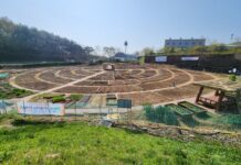 작은 텃밭에서 큰 행복을 키워요