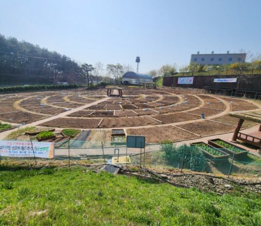 작은 텃밭에서 큰 행복을 키워요